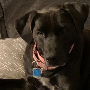 Meet your Posher, Heidi